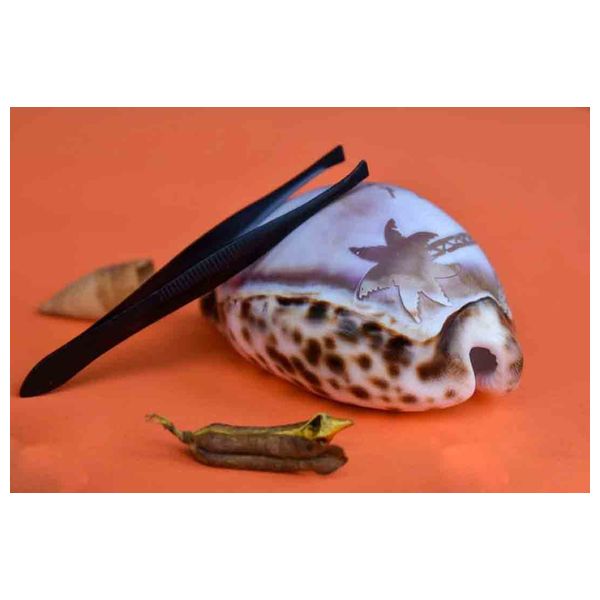  Evril Tweezers - Black 